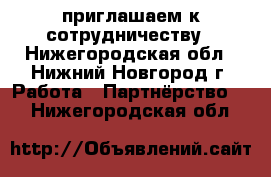 приглашаем к сотрудничеству - Нижегородская обл., Нижний Новгород г. Работа » Партнёрство   . Нижегородская обл.